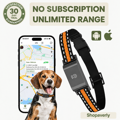 No-Subscription GPS Dog Collar – Live Tracking, Escape Alerts & Free App