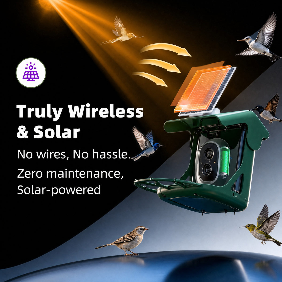 Bird Feeder Camera, Solar Powered Smart Bird Feeder with 2.5K 4MP Camera, AI Bird Species Identifica #r_d04_
