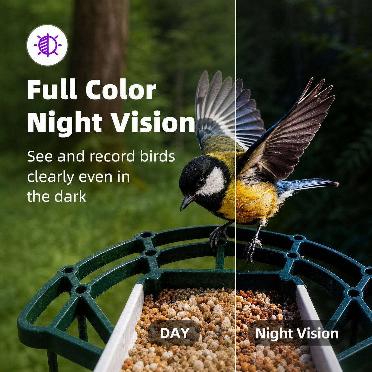 Bird Feeder Camera, Solar Powered Smart Bird Feeder with 2.5K 4MP Camera, AI Bird Species Identifica #r_d03_