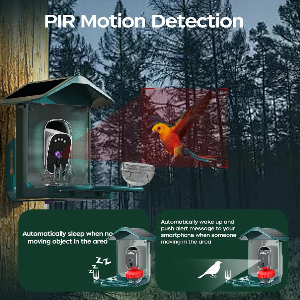 Bird Feeder Camera, Solar Smart Bird Feeder with 5MP or 3MP WiFi Camera, AI Bird Recognition, Color  #d02