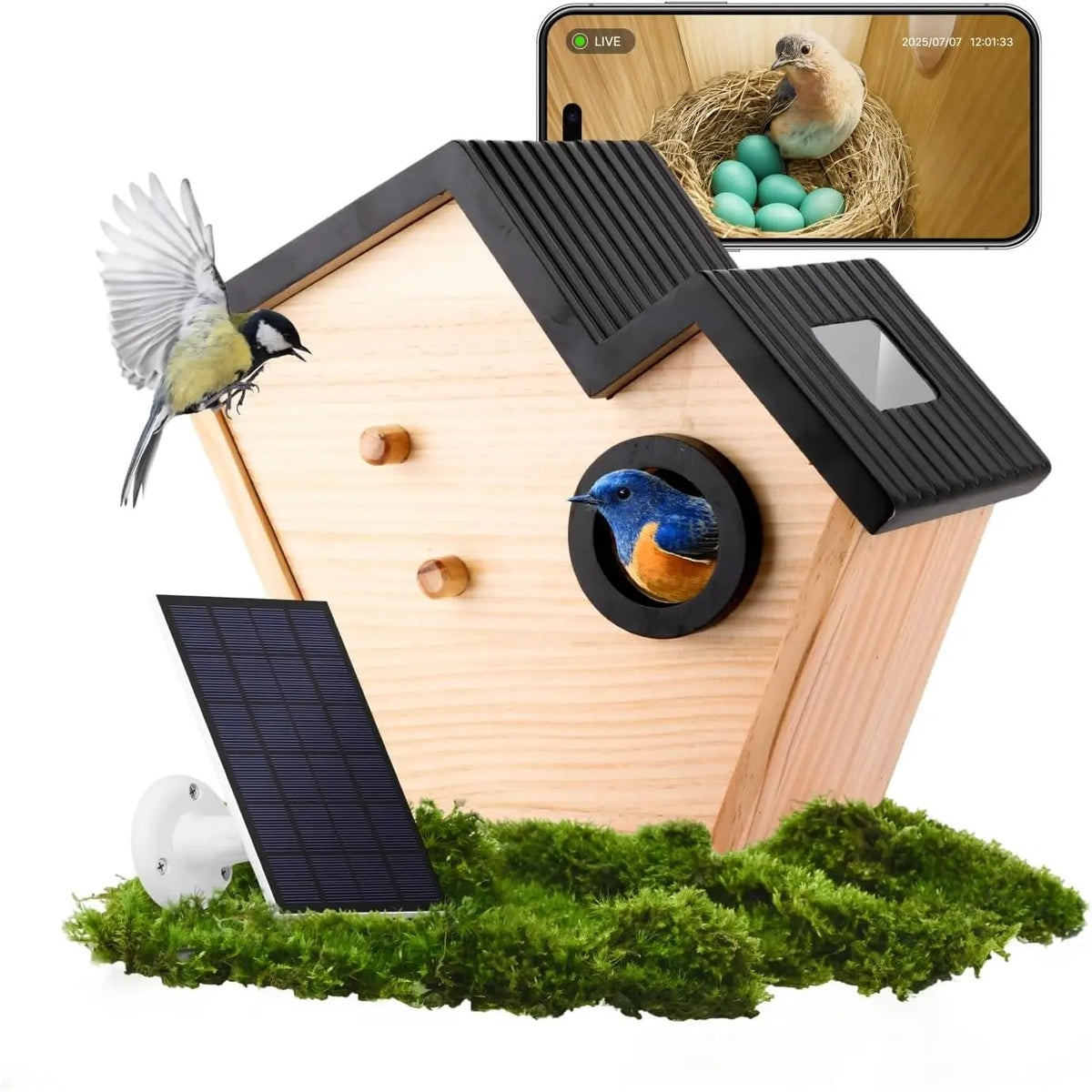 Birdhouse Camera, Solar Powered Wooden Bird House with 2K Live Feed Camera, AI Bird Identification,  #d02