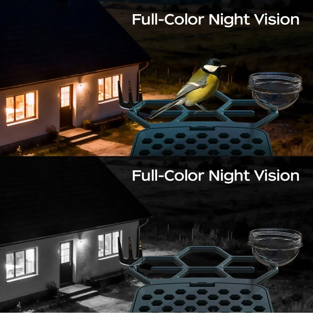 Bird Feeder Camera, Solar Smart Bird Feeder with 5MP or 3MP WiFi Camera, AI Bird Recognition, Color  #d04