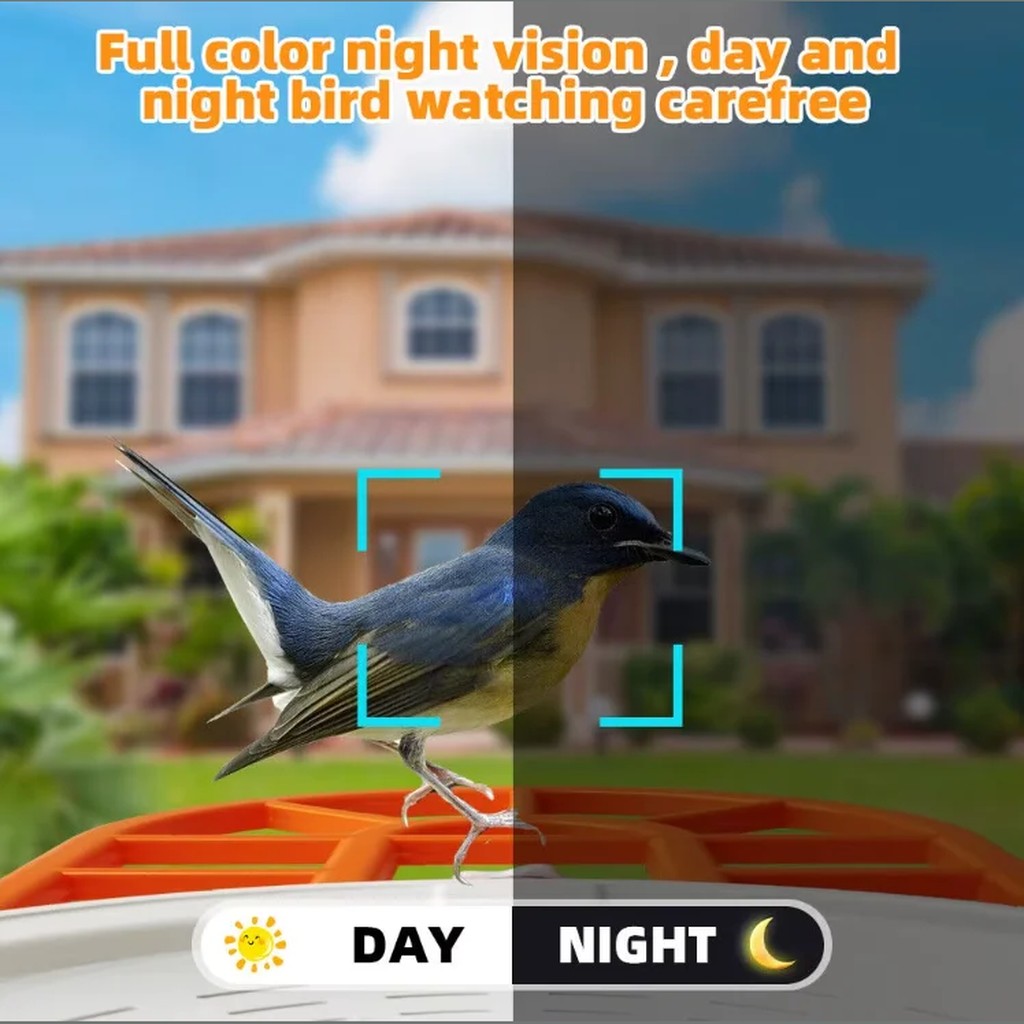 Smart Bird Feeder with Camera, Solar Powered WiFi Bird Feeder Cam with AI Bird Recognition, 1080P Ni #d06
