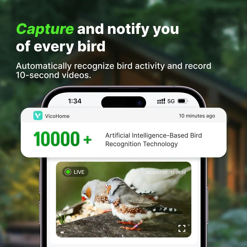 Birdhouse Camera, Solar Powered Wooden Bird House with 2K Live Feed Camera, AI Bird Identification,  #d07
