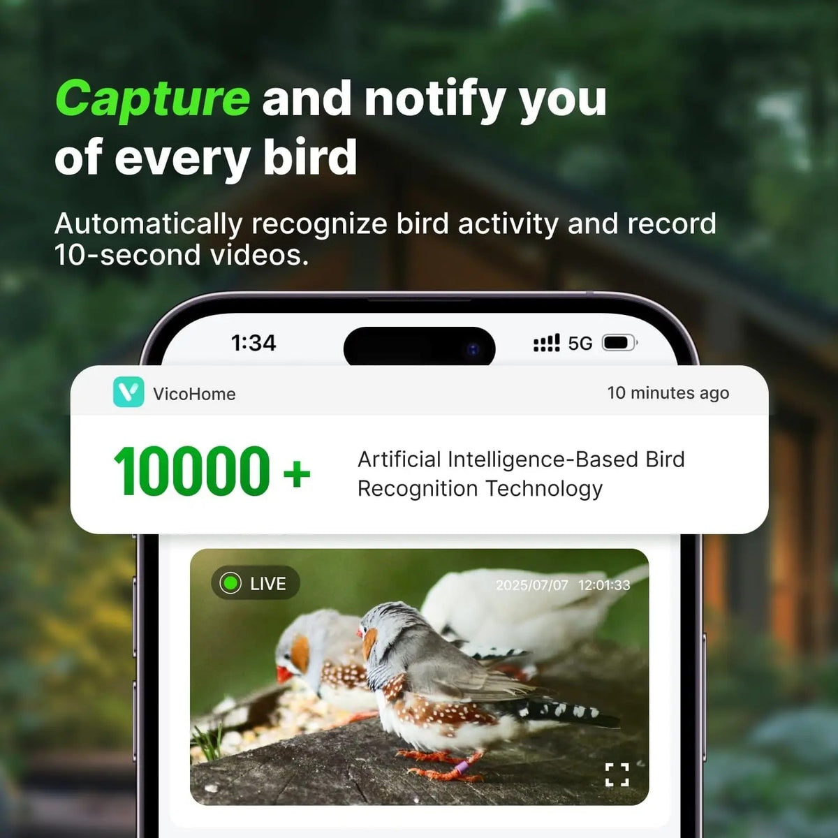 Birdhouse Camera, Solar Powered Wooden Bird House with 2K Live Feed Camera, AI Bird Identification,  #d07