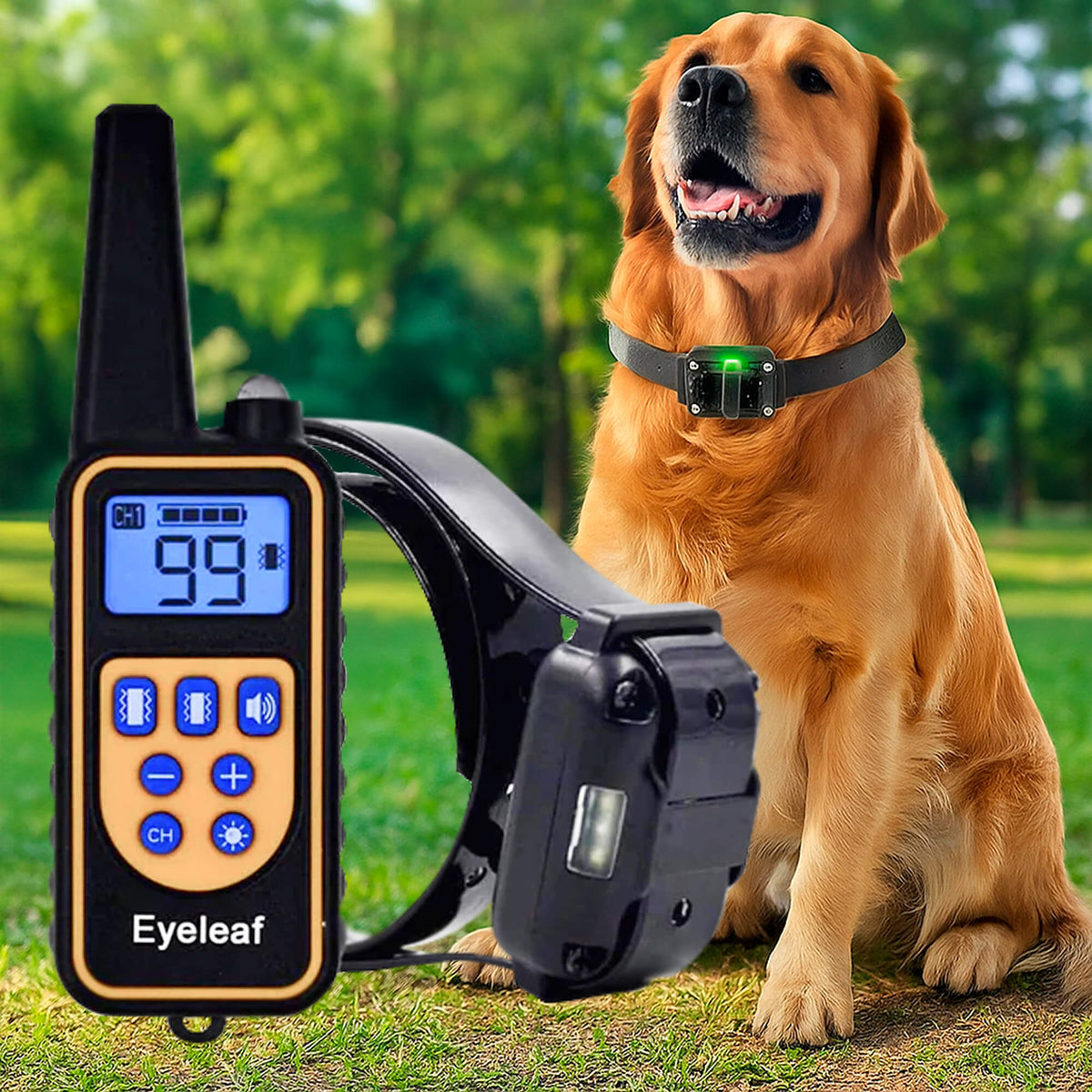 800M Rechargeable Electric Dog Training Collar – Waterproof Remote Control for Effective Training