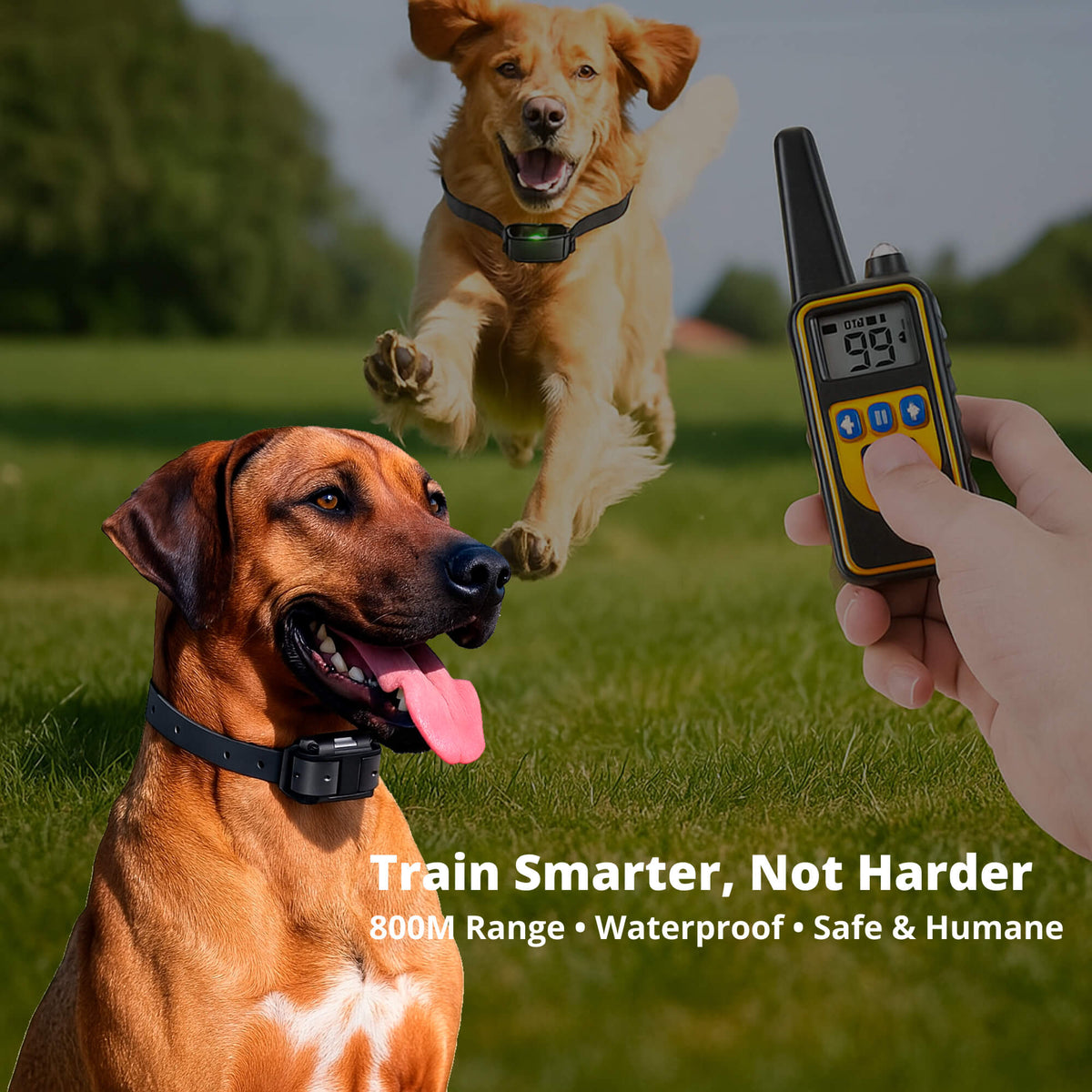 800M Rechargeable Electric Dog Training Collar – Waterproof Remote Control for Effective Training