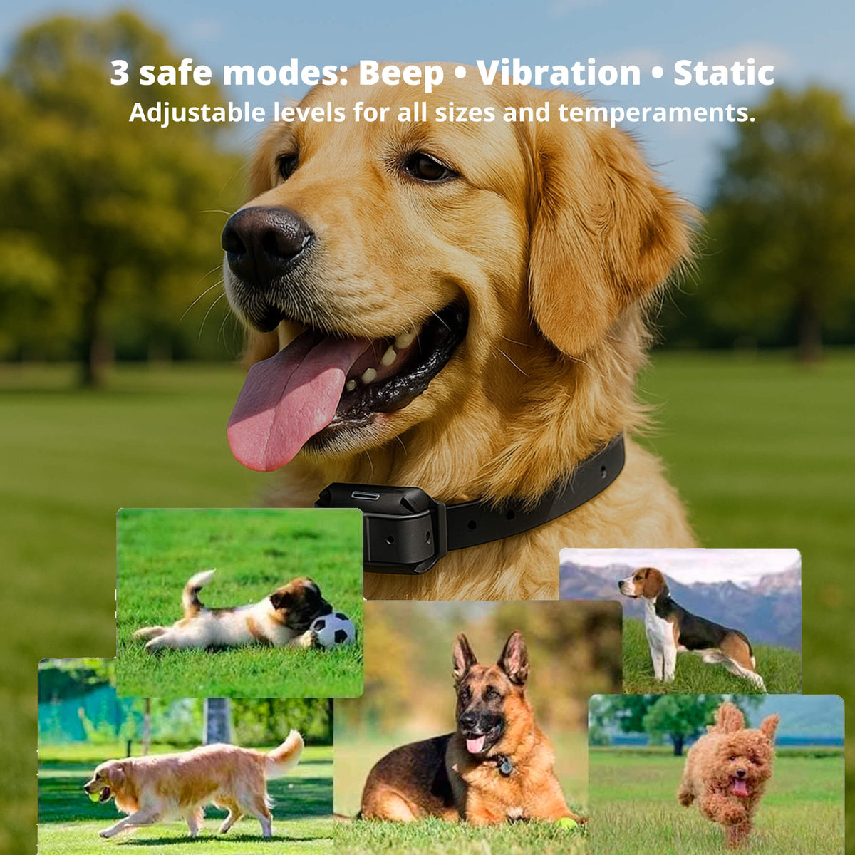 800M Rechargeable Electric Dog Training Collar – Waterproof Remote Control for Effective Training