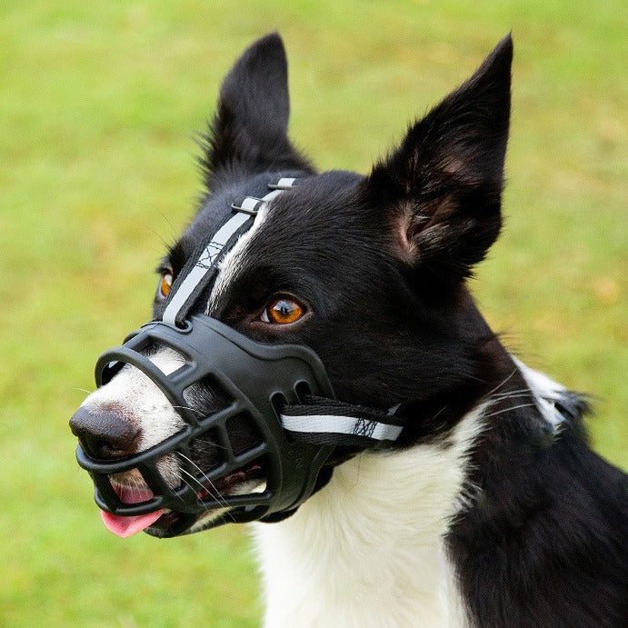 Adjustable Breathable Basket Dog Muzzle