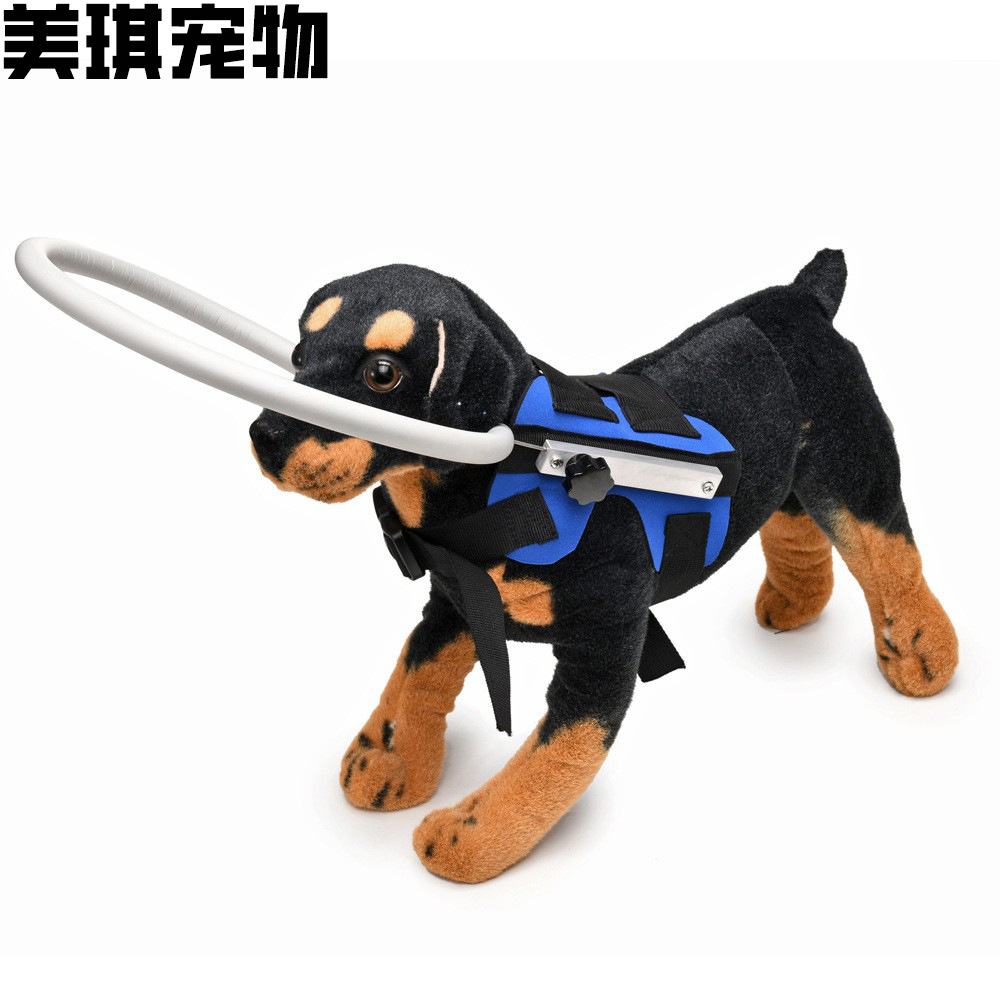 Blind Dog Harness with Bumper Guide Ring
