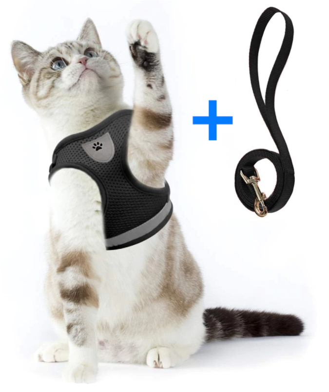 Cat Harness with Leash - AdventureKit