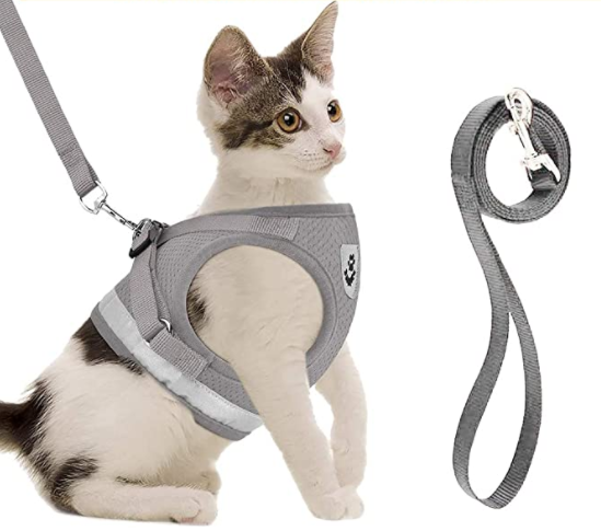 Cat Harness with Leash - AdventureKit