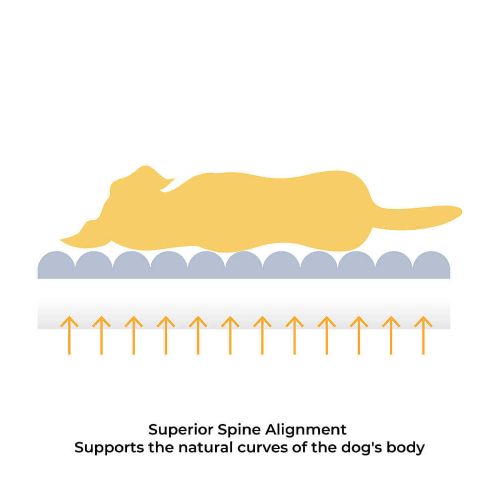 CheesecakeComfort Dog Bed – Plush Memory Foam Pet Bed