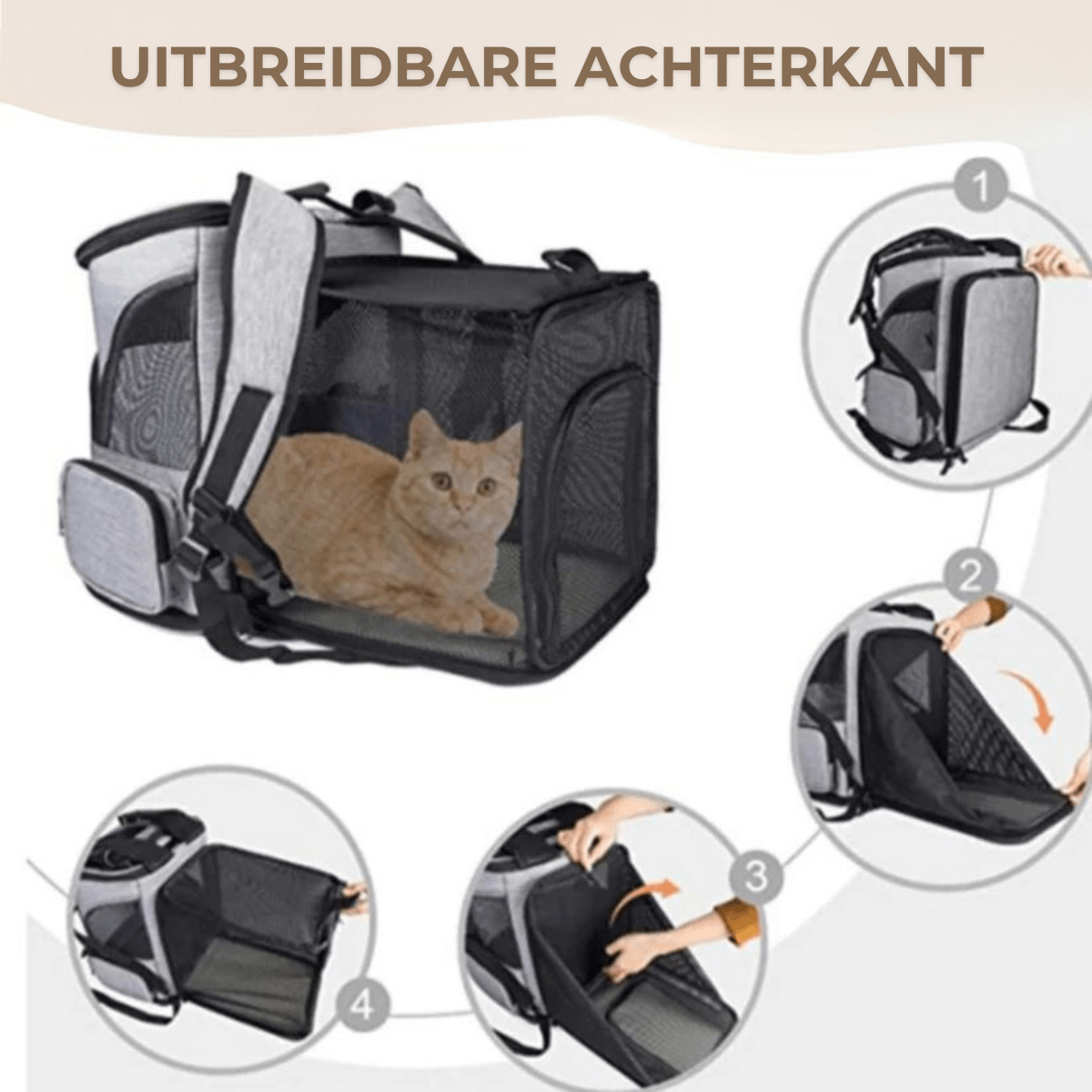 Comfortable Cat Backpack with Viewing Window