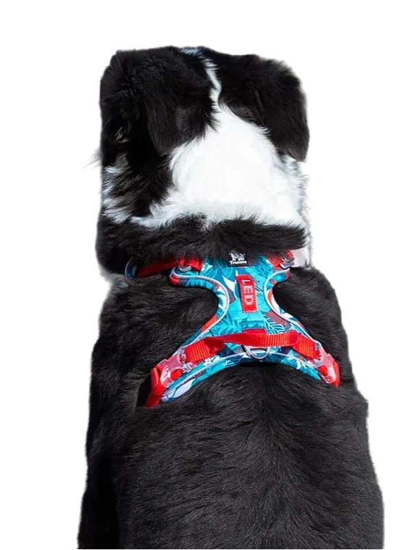 Comfortable & Durable Dog Harness