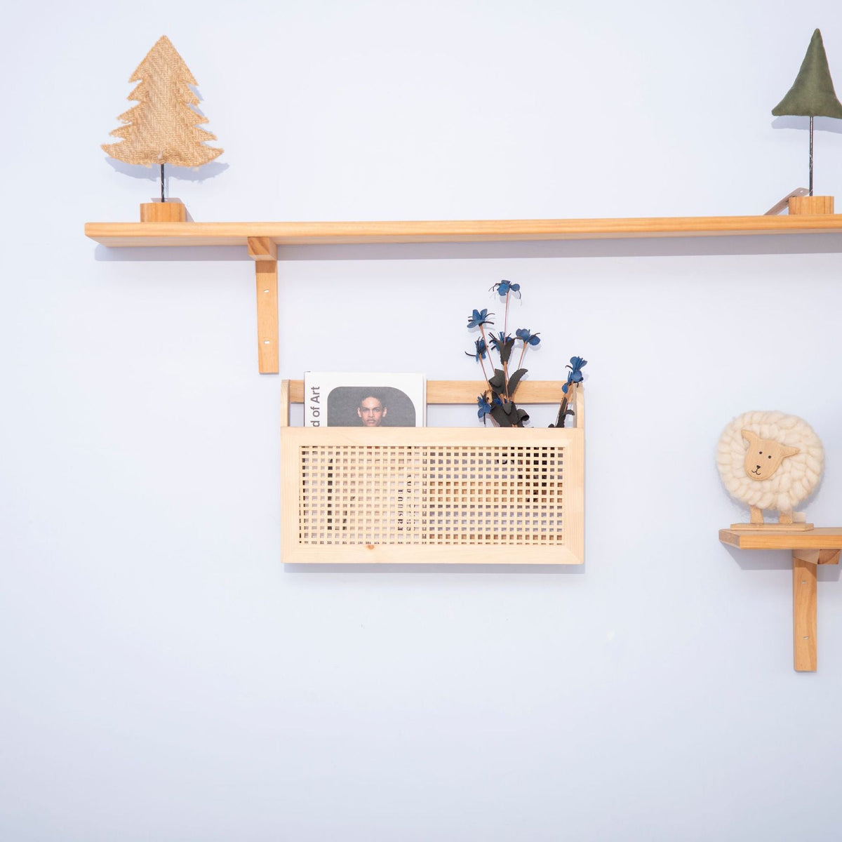 Decorative Wall Shelf with Cane Panel