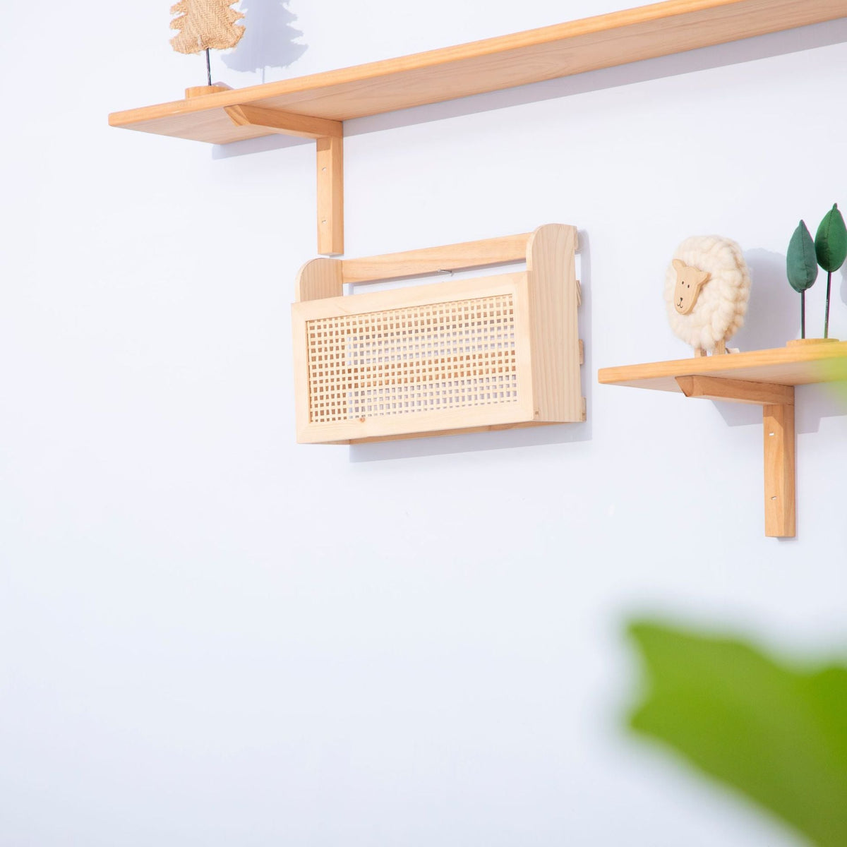 Decorative Wall Shelf with Cane Panel