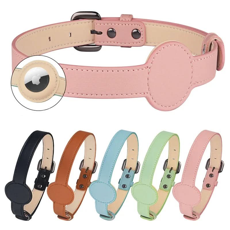 Dog Collar with Built-In AirTag Holder – Safety Meets Style