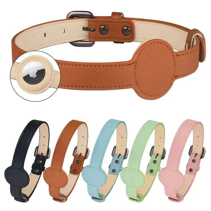 Dog Collar with Built-In AirTag Holder – Safety Meets Style