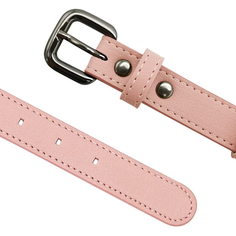 Dog Collar with Built-In AirTag Holder – Safety Meets Style