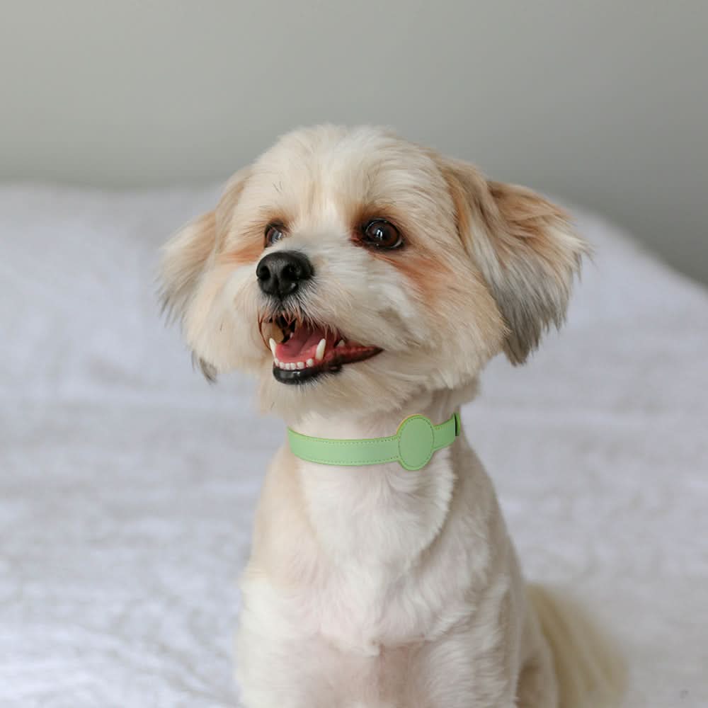 Dog Collar with Built-In AirTag Holder – Safety Meets Style