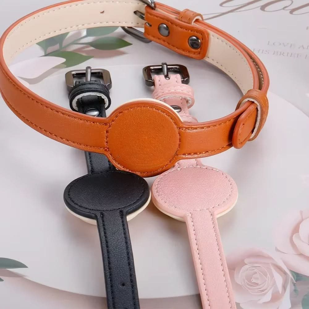Dog Collar with Built-In AirTag Holder – Safety Meets Style