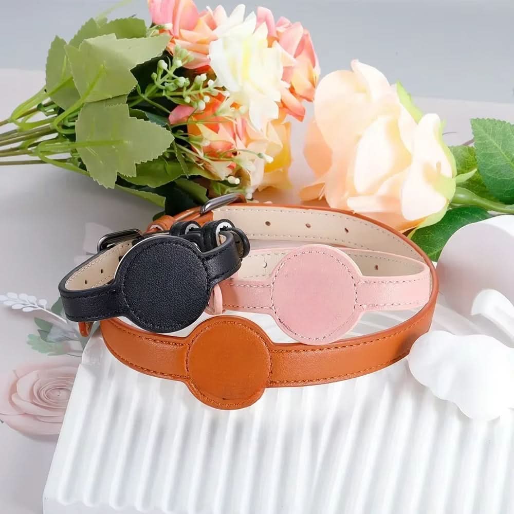 Dog Collar with Built-In AirTag Holder – Safety Meets Style