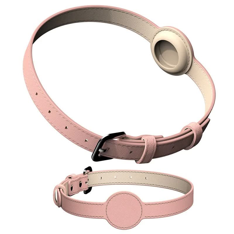 Dog Collar with Built-In AirTag Holder – Safety Meets Style