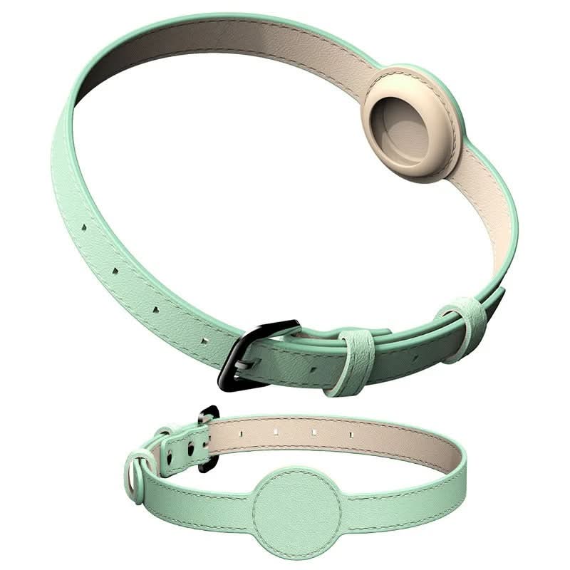 Dog Collar with Built-In AirTag Holder – Safety Meets Style
