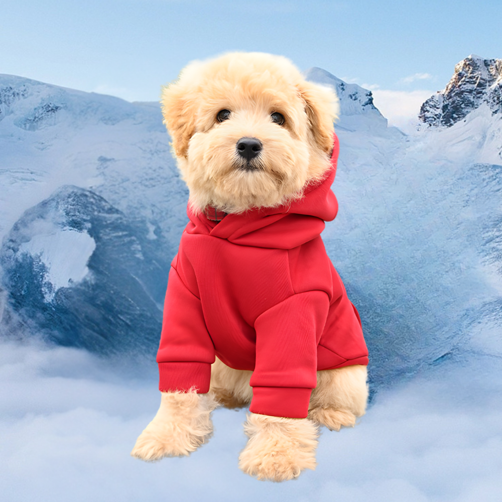 Dog Halloween Costume Fleece Dinosaur Hoodie – Warm Pet Outfit