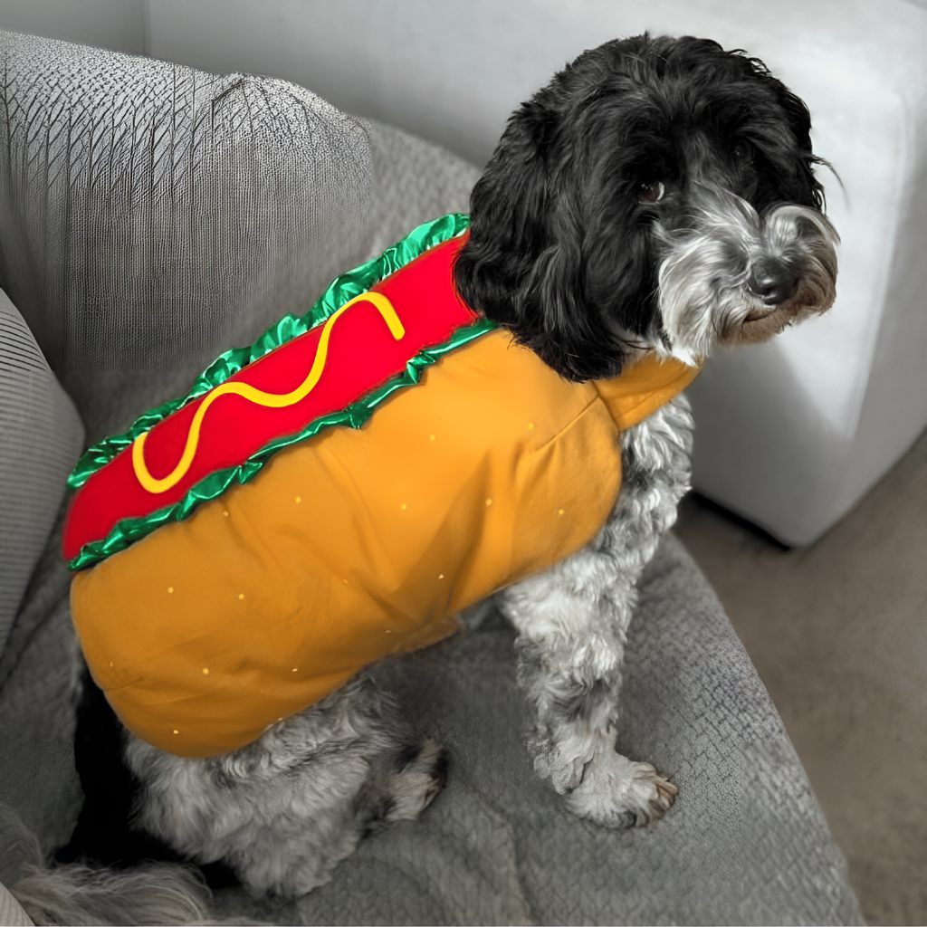 Dog hot dog costume, one-piece Halloween outfit for dogs with adjustable hook-and-loop straps, sizes XS to 2XL