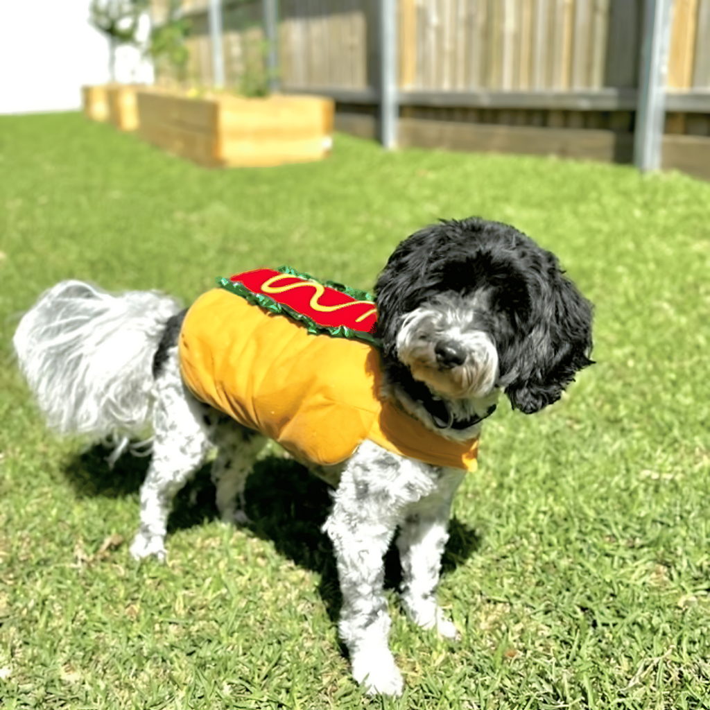 Dog hot dog costume, one-piece Halloween outfit for dogs with adjustable hook-and-loop straps, sizes XS to 2XL