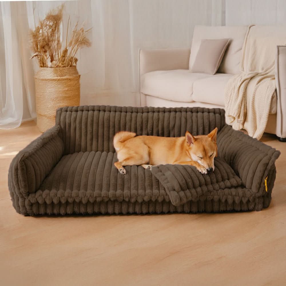 DreamPaw Orthopedic Dog Bed with Neck Support and Removable Washable Cover
