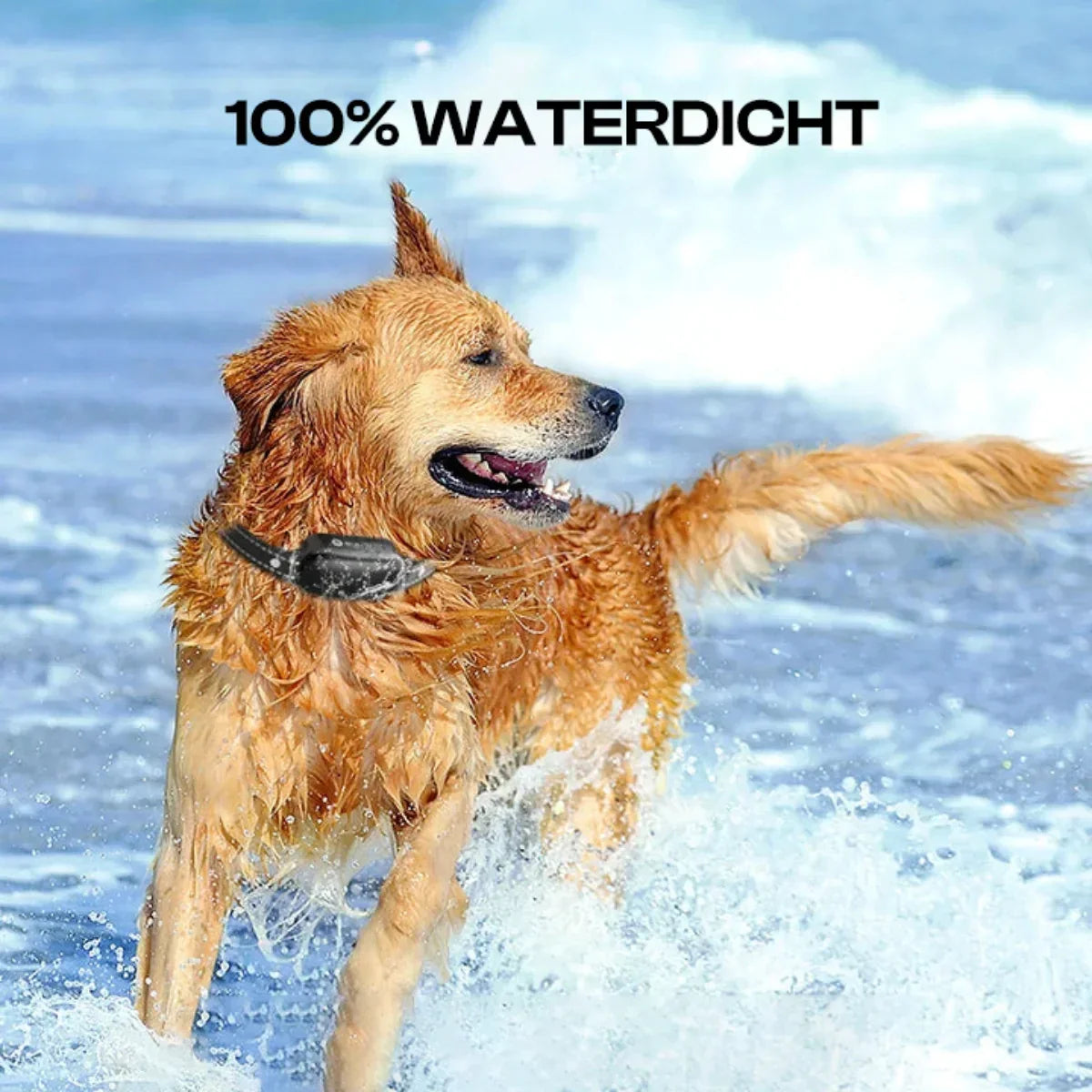 Electric Dog Training Collar with Remote Control – Waterproof, 16 Adjustable Levels, 3300 ft Range