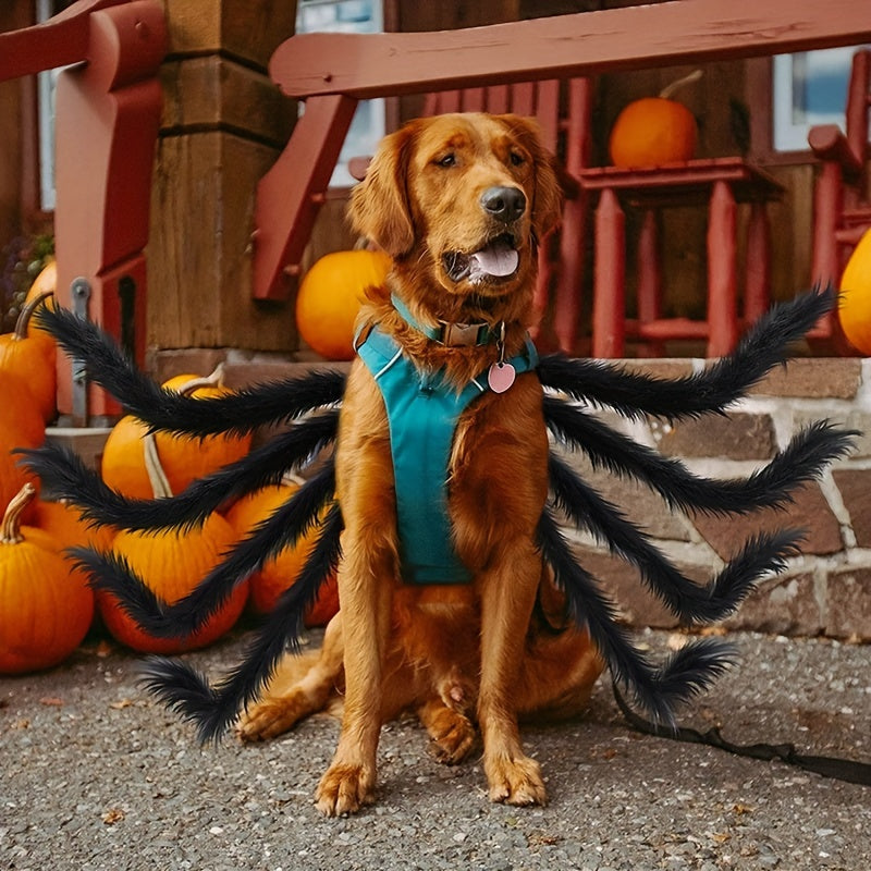 Funny Furry Spider Dog Halloween Costume