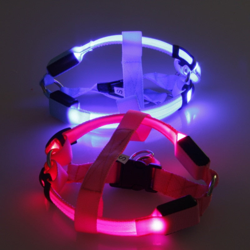 Glow&Go LED Dog Harness