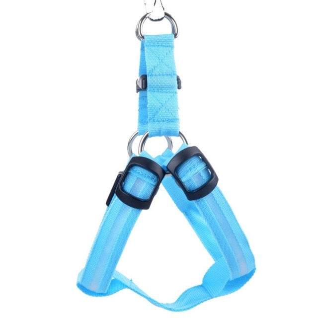 Glow&Go LED Dog Harness