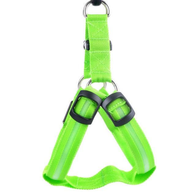 Glow&Go LED Dog Harness