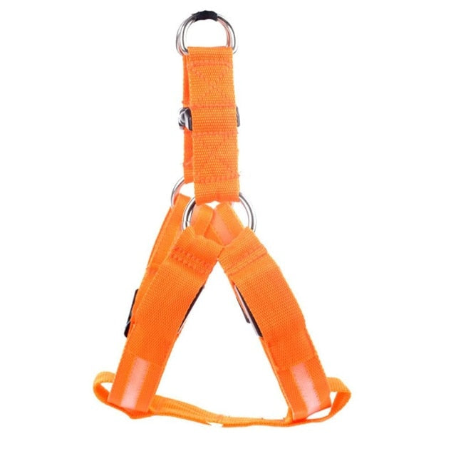 Glow&Go LED Dog Harness