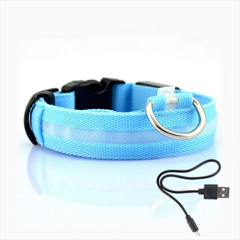 LED Dog Collar for Night Safety – GlowCollar