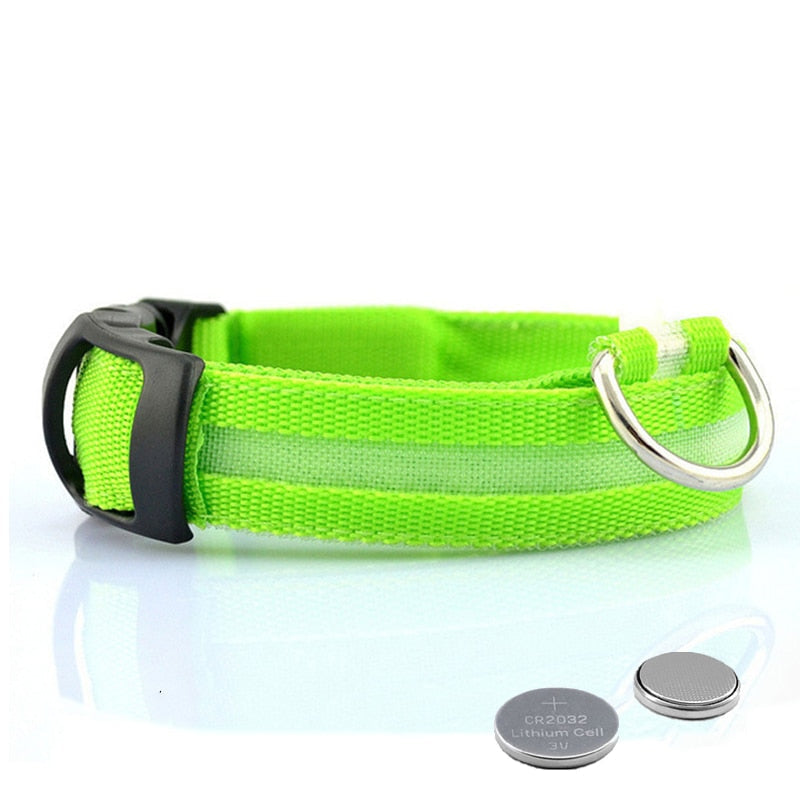 LED Dog Collar for Night Safety – GlowCollar