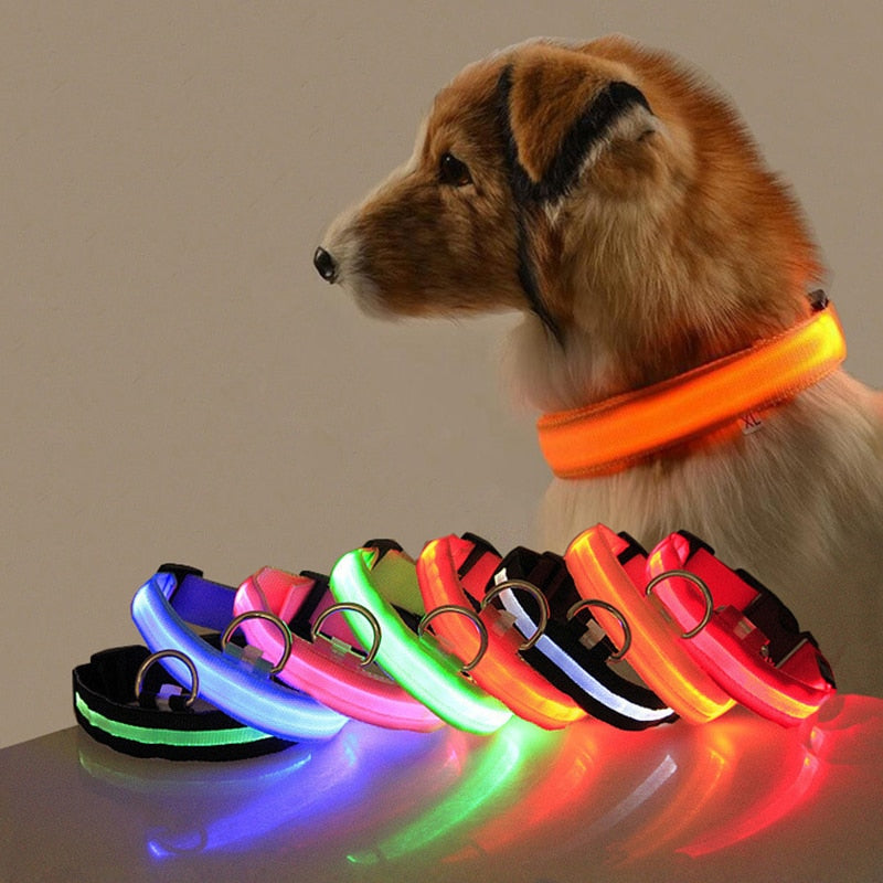 LED Dog Collar for Night Safety – GlowCollar