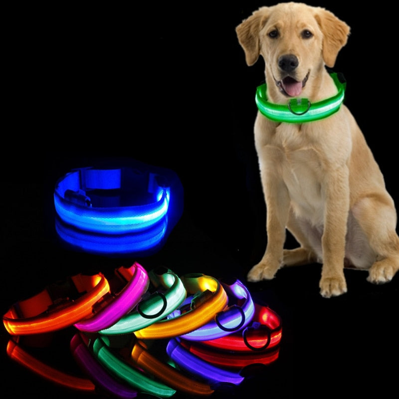 LED Dog Collar for Night Safety – GlowCollar