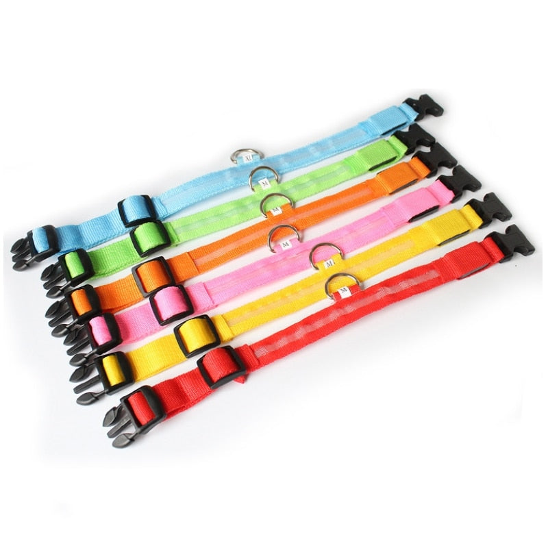 LED Dog Collar for Night Safety – GlowCollar