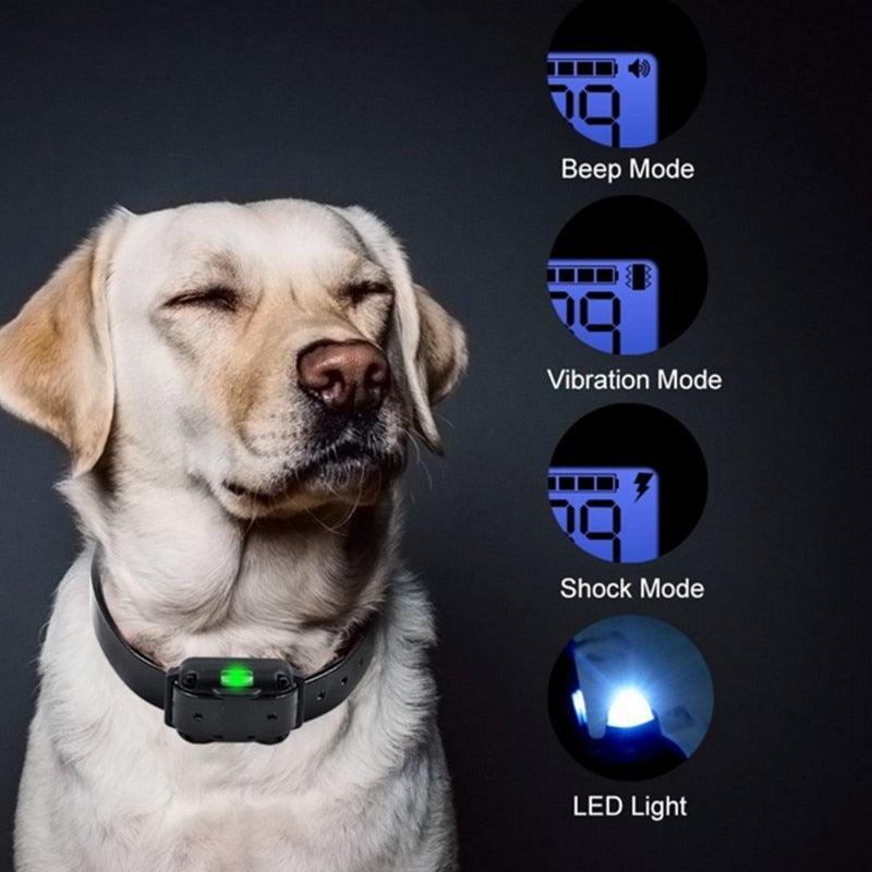 Long Range Waterproof Electric Dog Training Collar