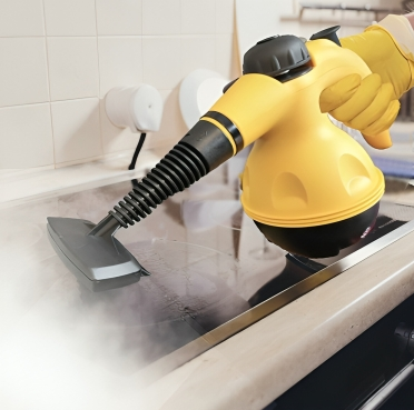 Multifunctional Steam Cleaner with 8 Accessories