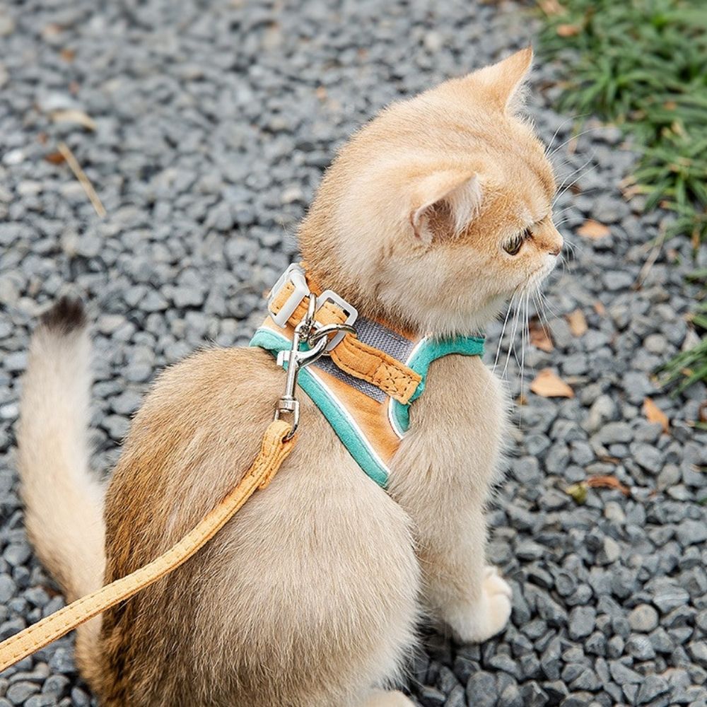 Oscar Cat Harness – Escape-Proof & Adjustable