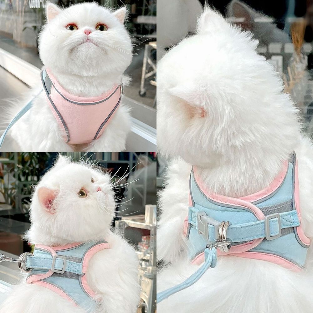 Oscar Cat Harness – Escape-Proof & Adjustable