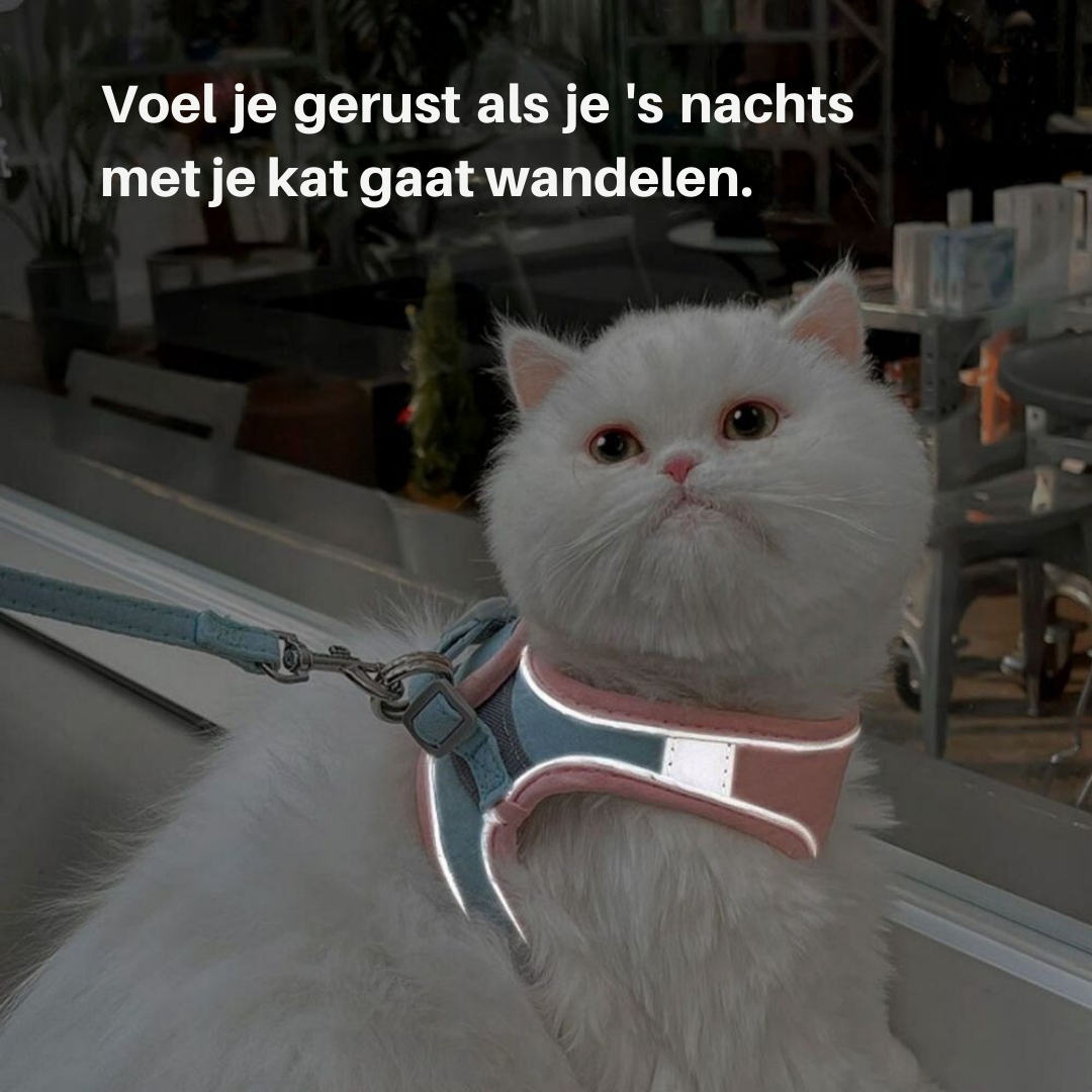 Oscar Cat Harness – Escape-Proof & Adjustable