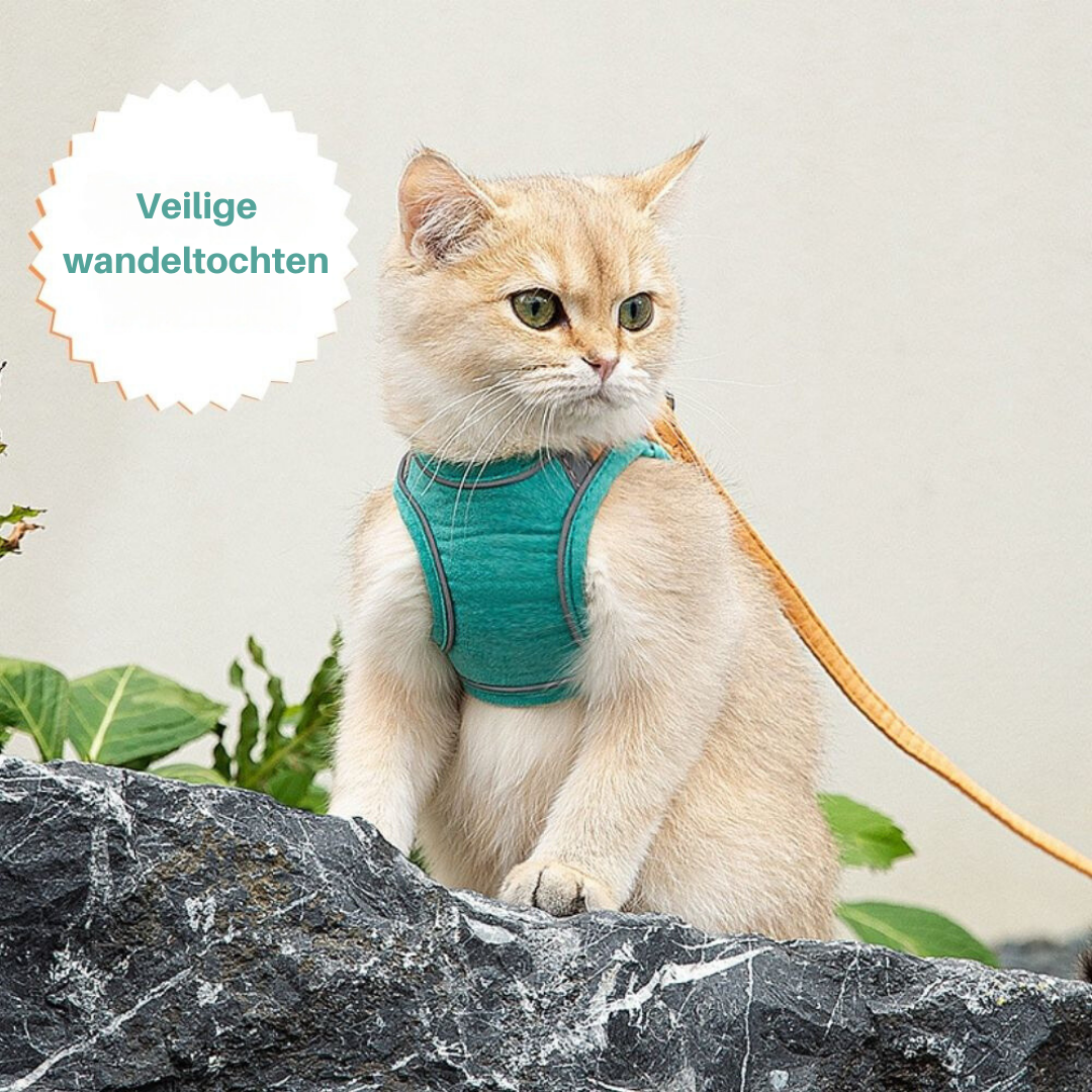 Oscar Cat Harness – Escape-Proof & Adjustable